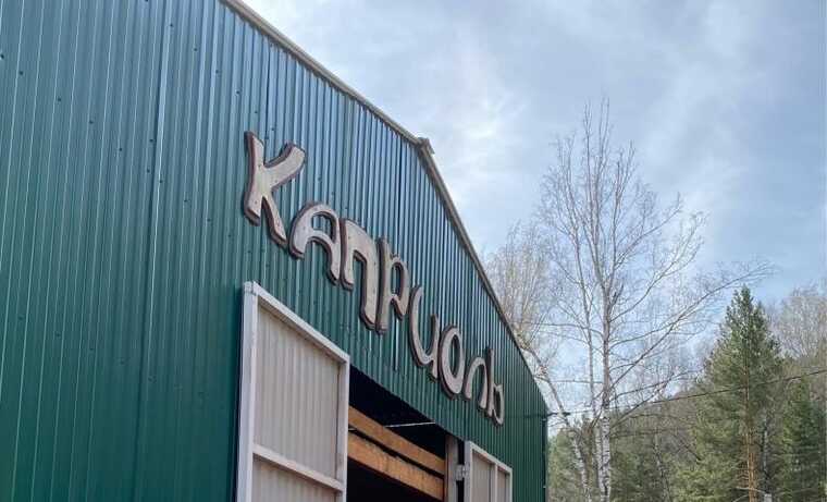 Война против иппотерапии: как «Роев ручей» и силовики уничтожают «Каприоль»