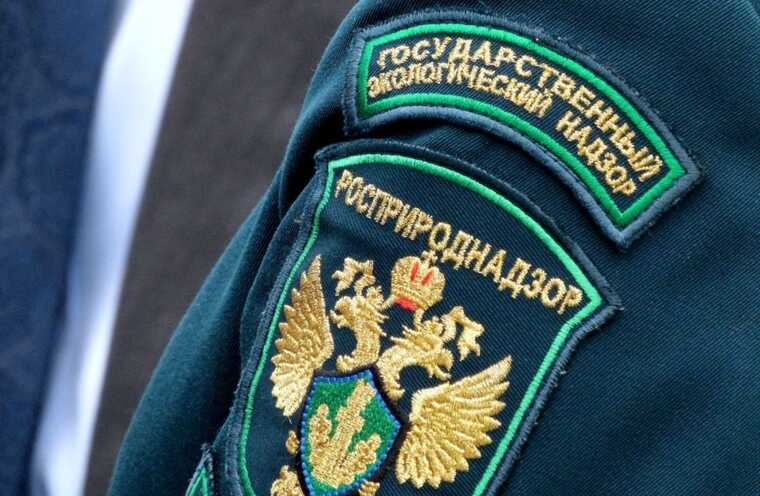 Росприроднадзор требует 85 миллиардов рублей с владельцев утопленных танкеров