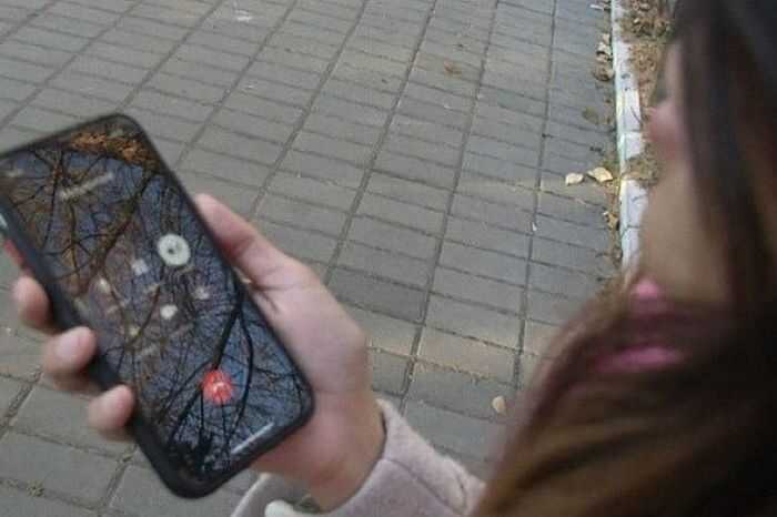 Студенты организовали кол-центры для телефонного мошенничества в арендованных квартирах
