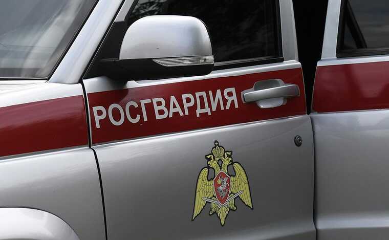 В Салавате машина Росгвардии сбила ребёнка на переходе